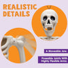 Posable Halloween Skeletons – 5-Pack, 16 in, Ships from US