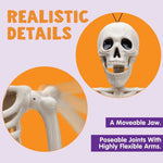 Posable Halloween Skeletons – 5-Pack, 16 in, Ships from US