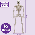 Posable Halloween Skeletons – 5-Pack, 16 in, Ships from US