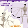 Posable Halloween Skeletons – 5-Pack, 16 in, Ships from US