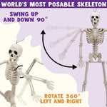Posable Halloween Skeletons – 5-Pack, 16 in, Ships from US