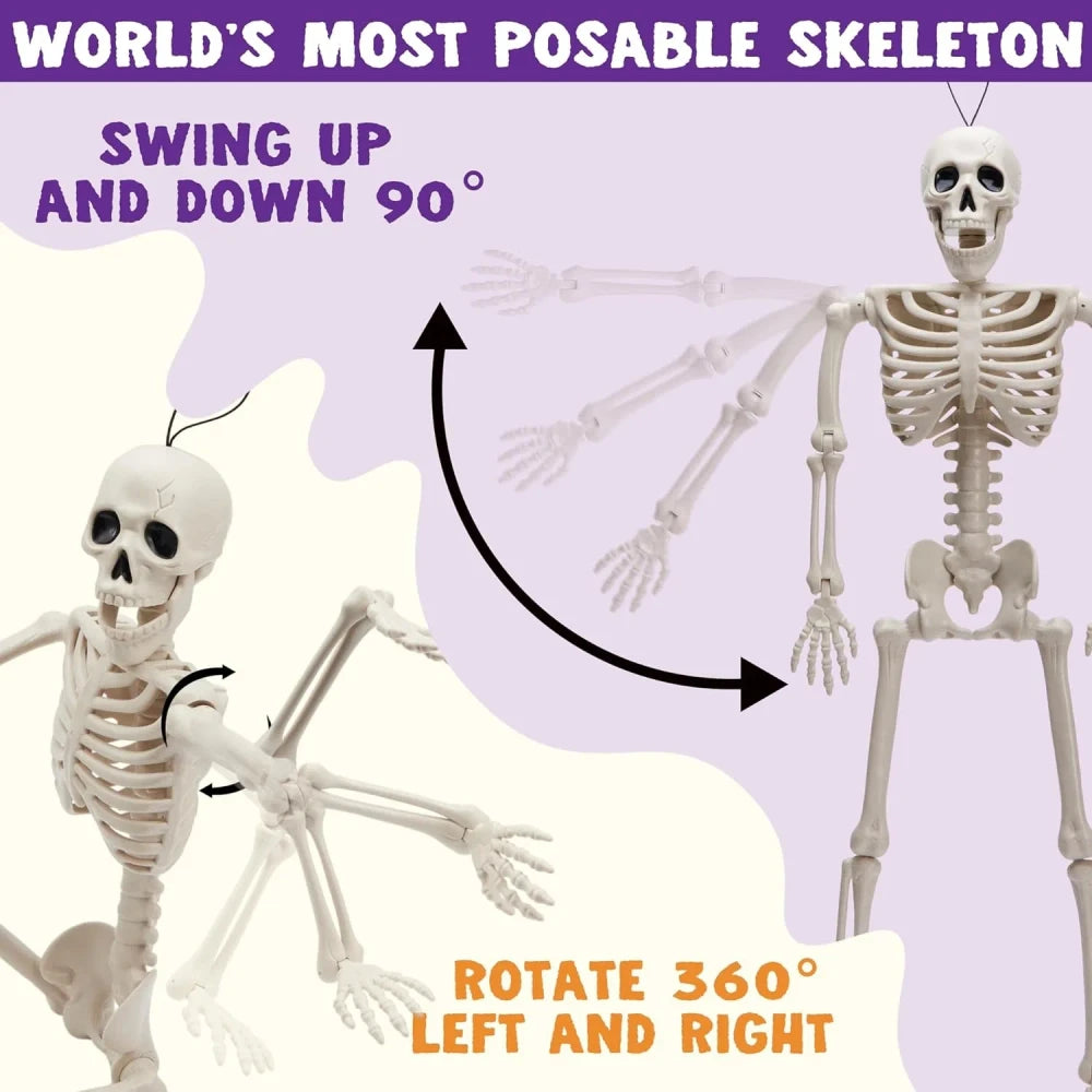 Posable Halloween Skeletons – 5-Pack, 16 in, Ships from US