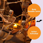 Posable Halloween Skeletons – 5-Pack, 16 in, Ships from US